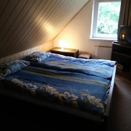 Zajazd Nad Stawami Penzion *